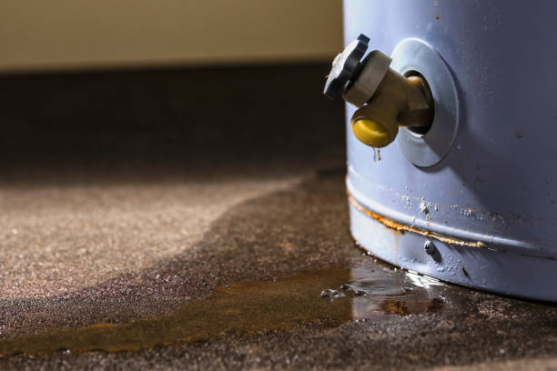  Seymour, IN Water damage restoration Pros