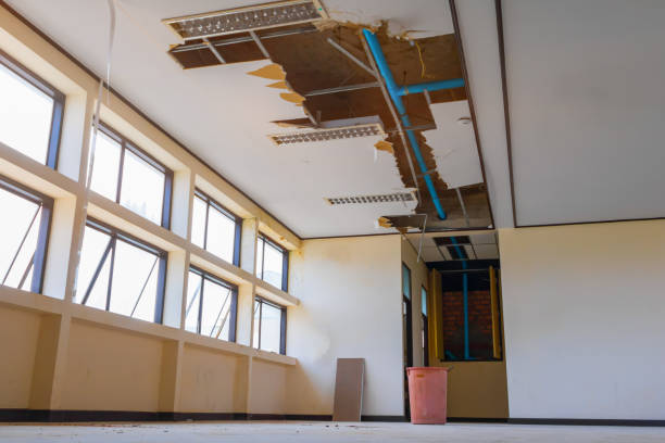 Best Water damage restoration near me  in Seymour, IN