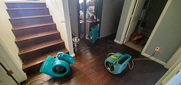 Best Water damage contractors near me  in Seymour, IN