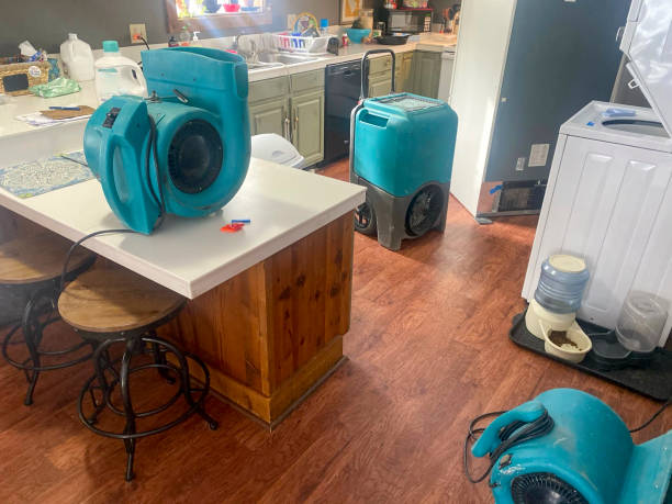 Best Flooded house restoration  in Seymour, IN