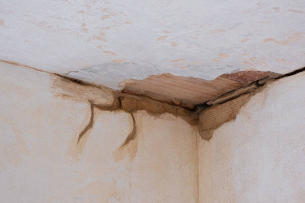 Best Fire Damage Restoration  in Seymour, IN