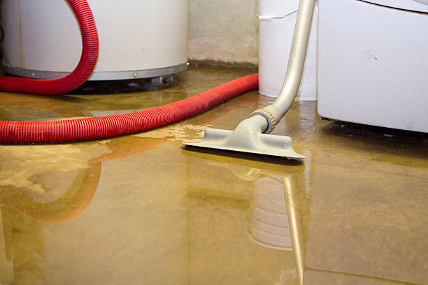 Best Emergency water damage restoration  in Seymour, IN