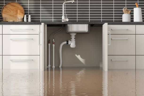 Best Carpet water damage restoration  in Seymour, IN