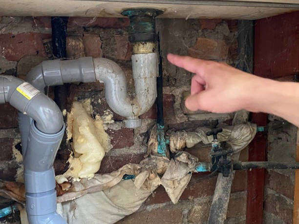 Best Water damage contractors near me  in Seymour, IN